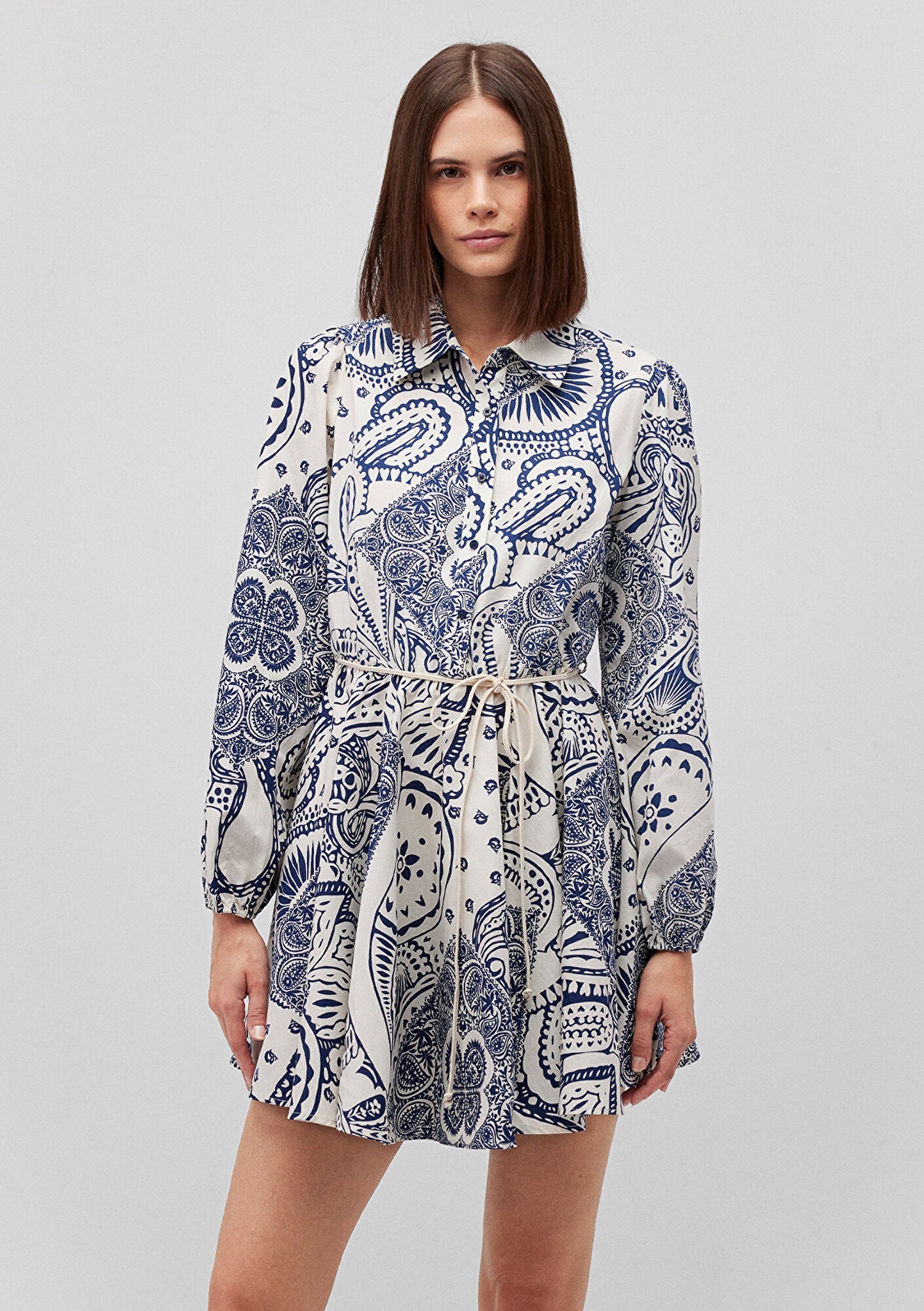 Printed Pleated Dress