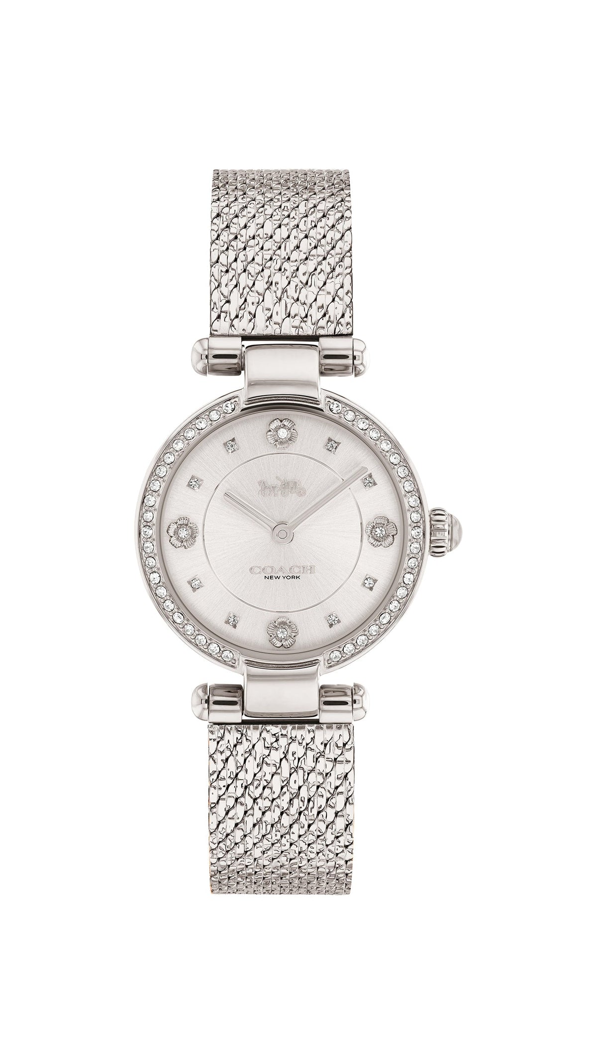 Cary Women Watch