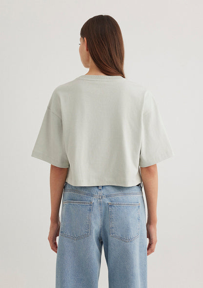 Grey Crop T-Shirt