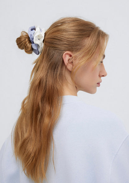 Blue Hair Clip