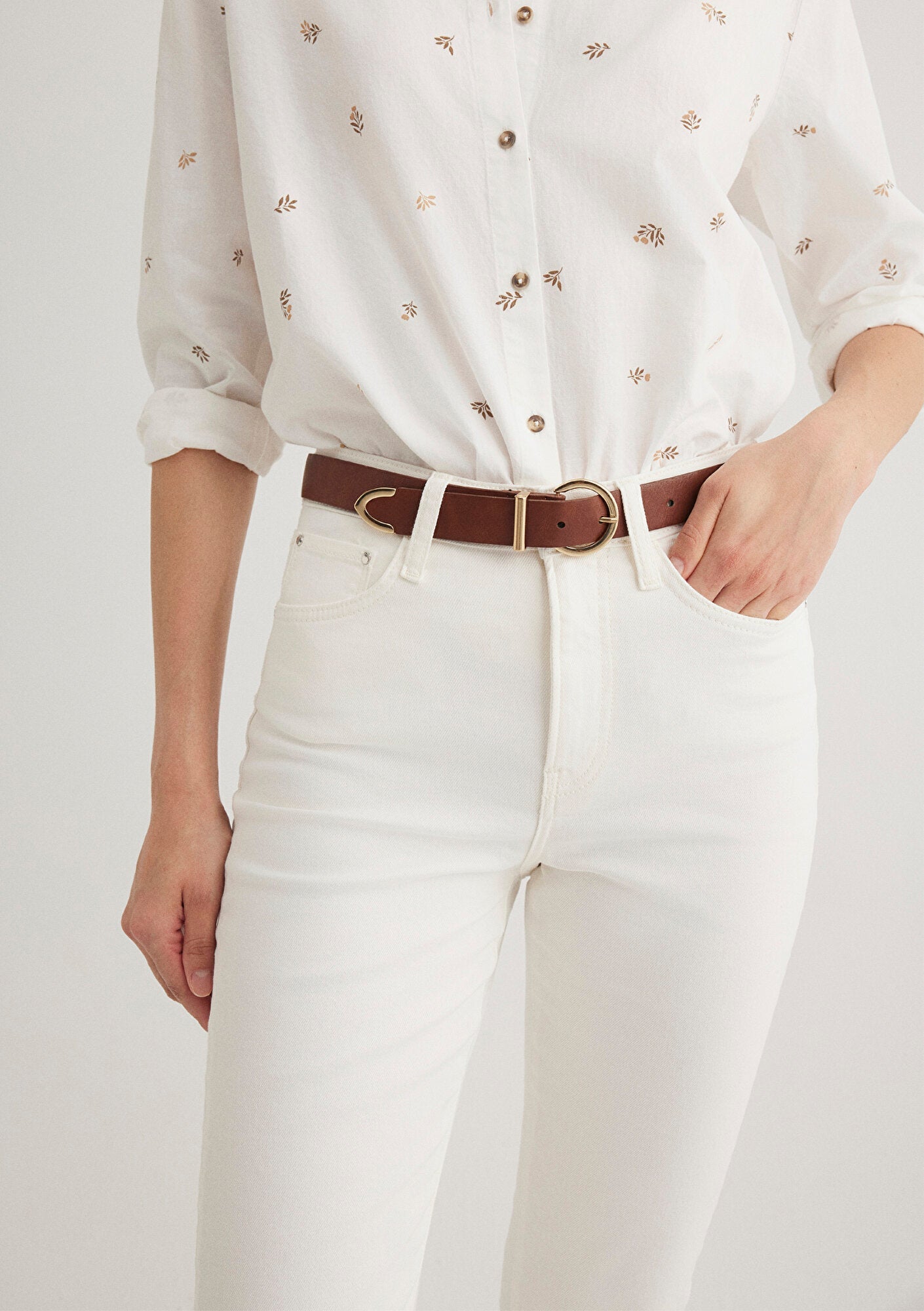 Brown Belt