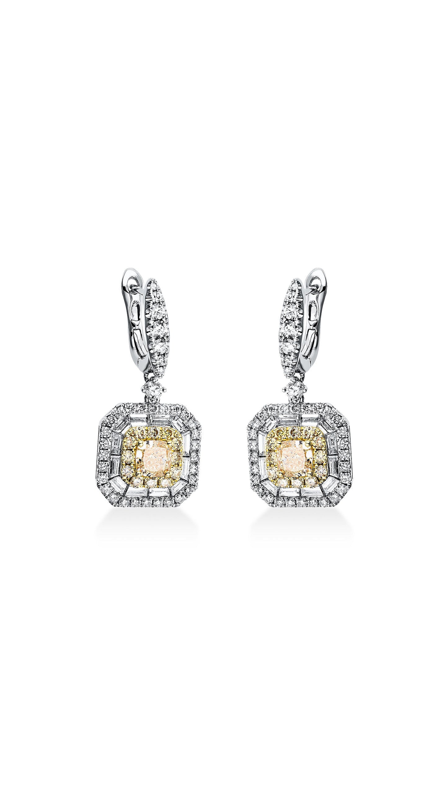 Modern Woman Exclusive Earring 2L579Wg8-1