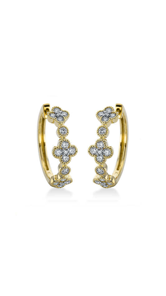 Modern Woman Exclusiv Huggies - 2M447GW8-1