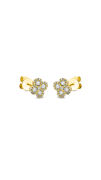 Modern Woman Exclusiv Earring - 2M689G8-1