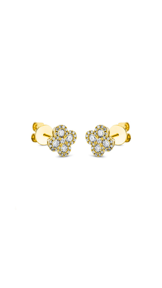Modern Woman Exclusiv Earring - 2M689G8-1