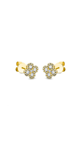 Modern Woman Exclusiv Earring - 2M689G8-1