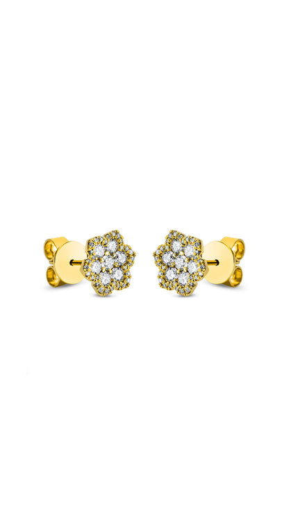 Modern Woman Exclusiv Earring - 2M704G8-1