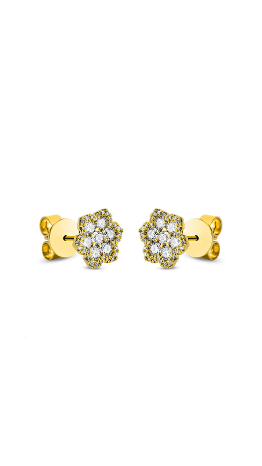 Modern Woman Exclusiv Earring - 2M704G8-1