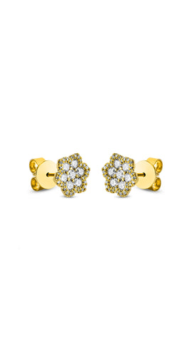 Modern Woman Exclusiv Earring - 2M704G8-1