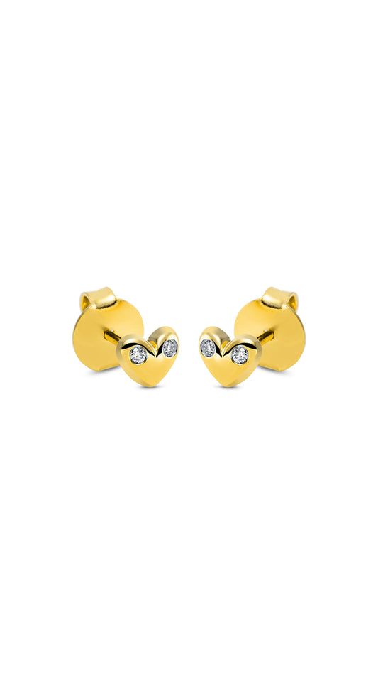 Modern Woman Exclusive Earring - 2N606G8-1