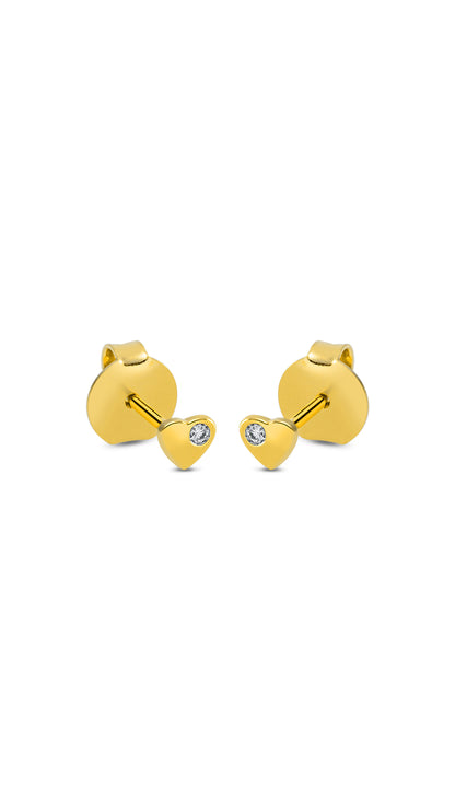 Modern Woman Exclusive Earring - 2N607G8-1