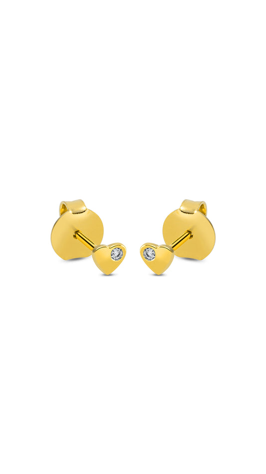 Modern Woman Exclusive Earring - 2N607G8-1