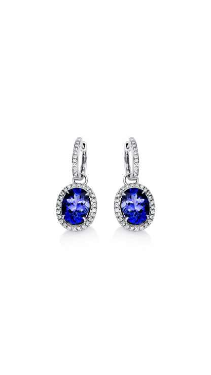Modern Woman Exclusive Earring 2D990W8-4