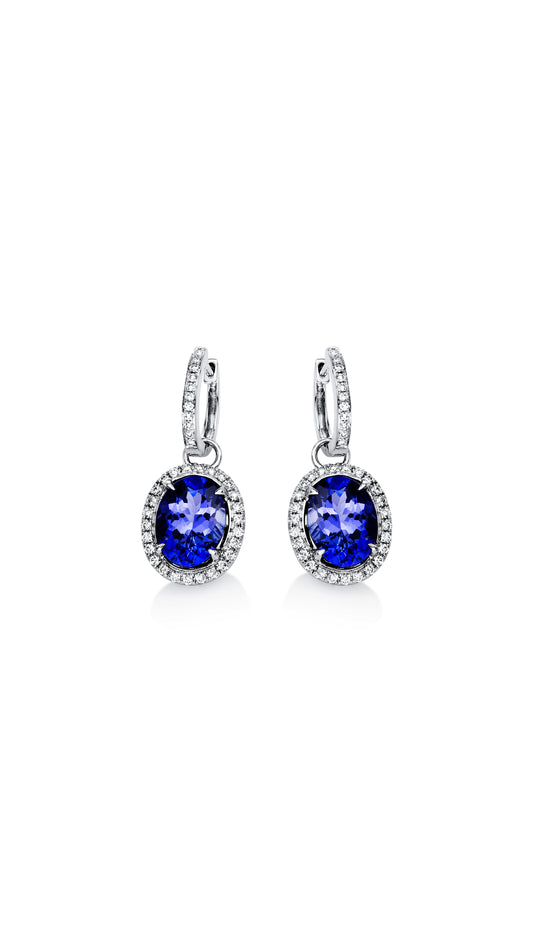 Modern Woman Exclusive Earring 2D990W8-4