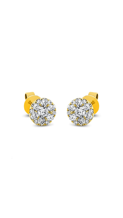Modern Woman Exclusive Earstuds 2E839G8-2
