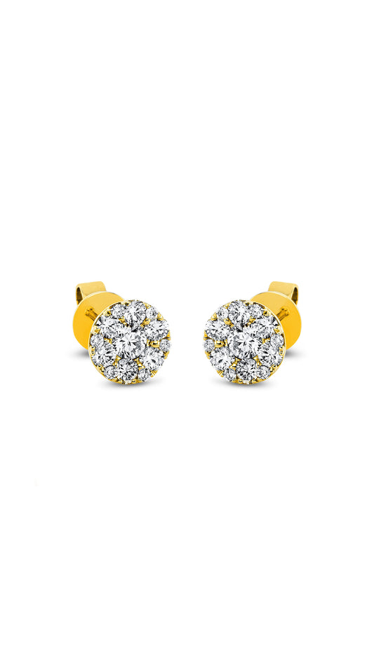 Modern Woman Exclusive Earstuds 2E839G8-2