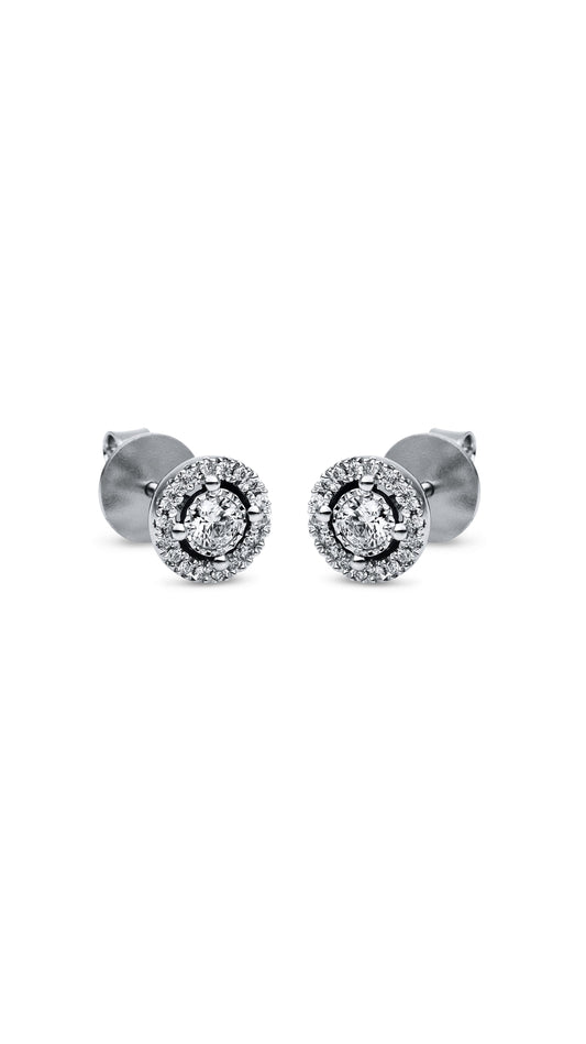 Modern Woman Exclusive Earring 2H035W8-8