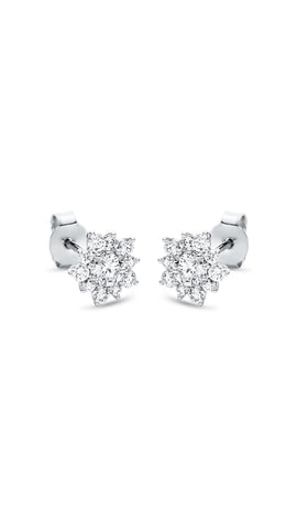 Modern Woman Exclusive Earstuds 2I977W8-3