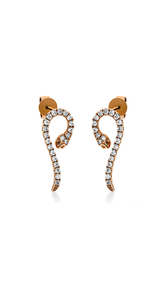 Modern Woman Exclusive Earstuds 2K059R8-1