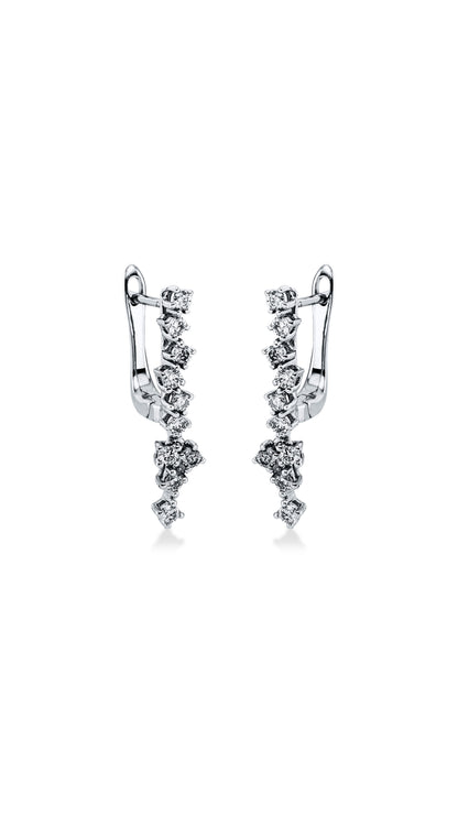 Modern Woman Exclusive Earring 2K270W8-3