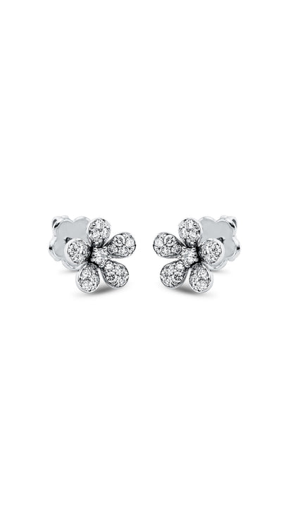 Modern Woman Exclusive Earring 2K365W8-1