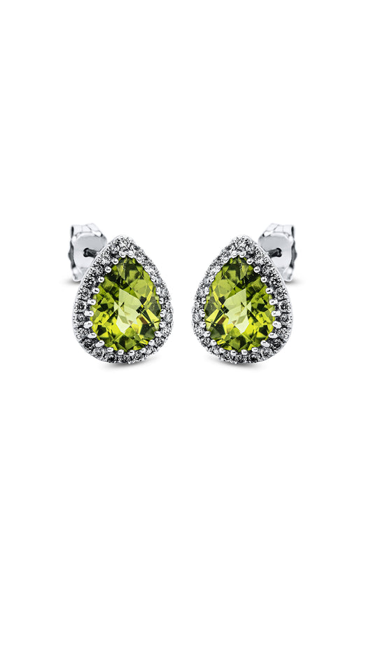 Modern Woman Exclusive Earring 2L065W8-1