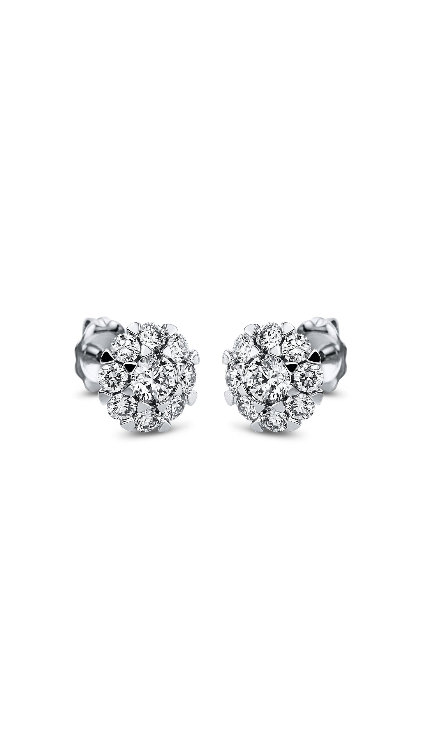 Modern Woman Exclusive Earring 2L280W8-1