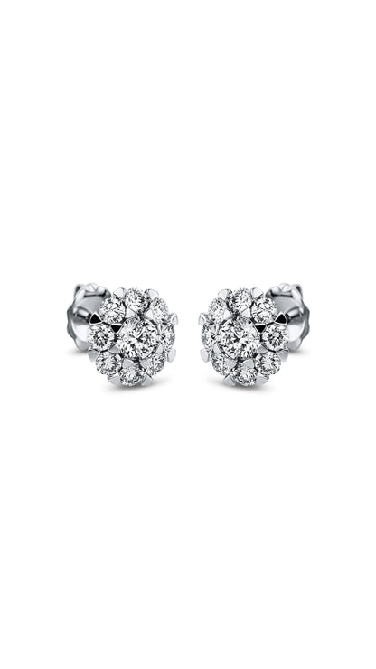 Modern Woman Exclusive Earring 2L280W8-1