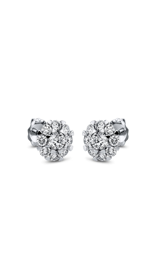 Modern Woman Exclusive Earring 2L280W8-1