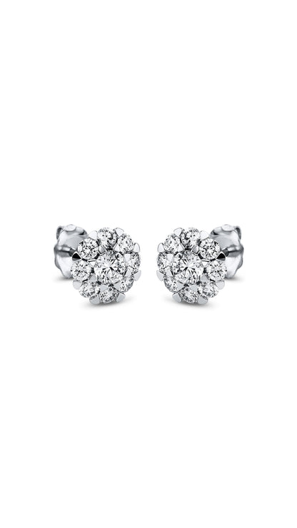 Modern Woman Exclusive Earring 2L286W8-1