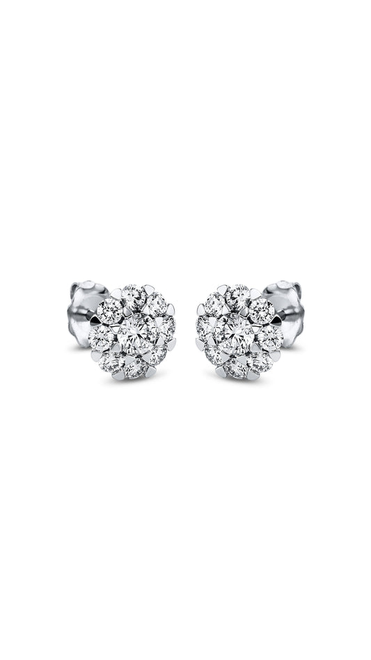 Modern Woman Exclusive Earring 2L286W8-1