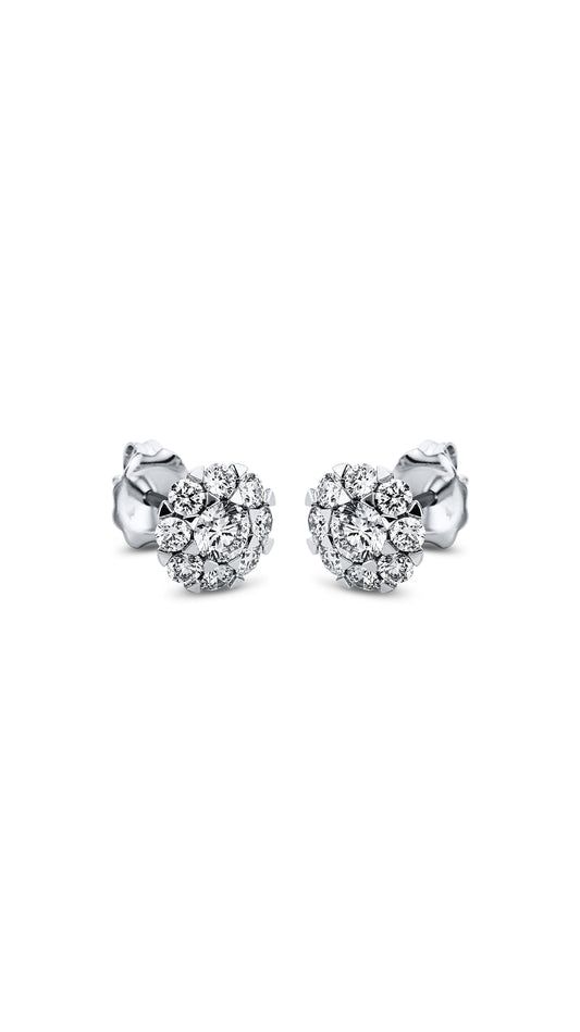 Modern Woman Exclusive Earring 2L287W8-1