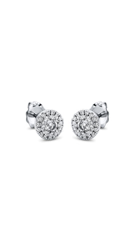 Modern Woman Exclusive Earring 2L290W8-1