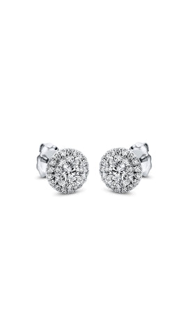 Modern Woman Exclusive Earring 2L291W8-1