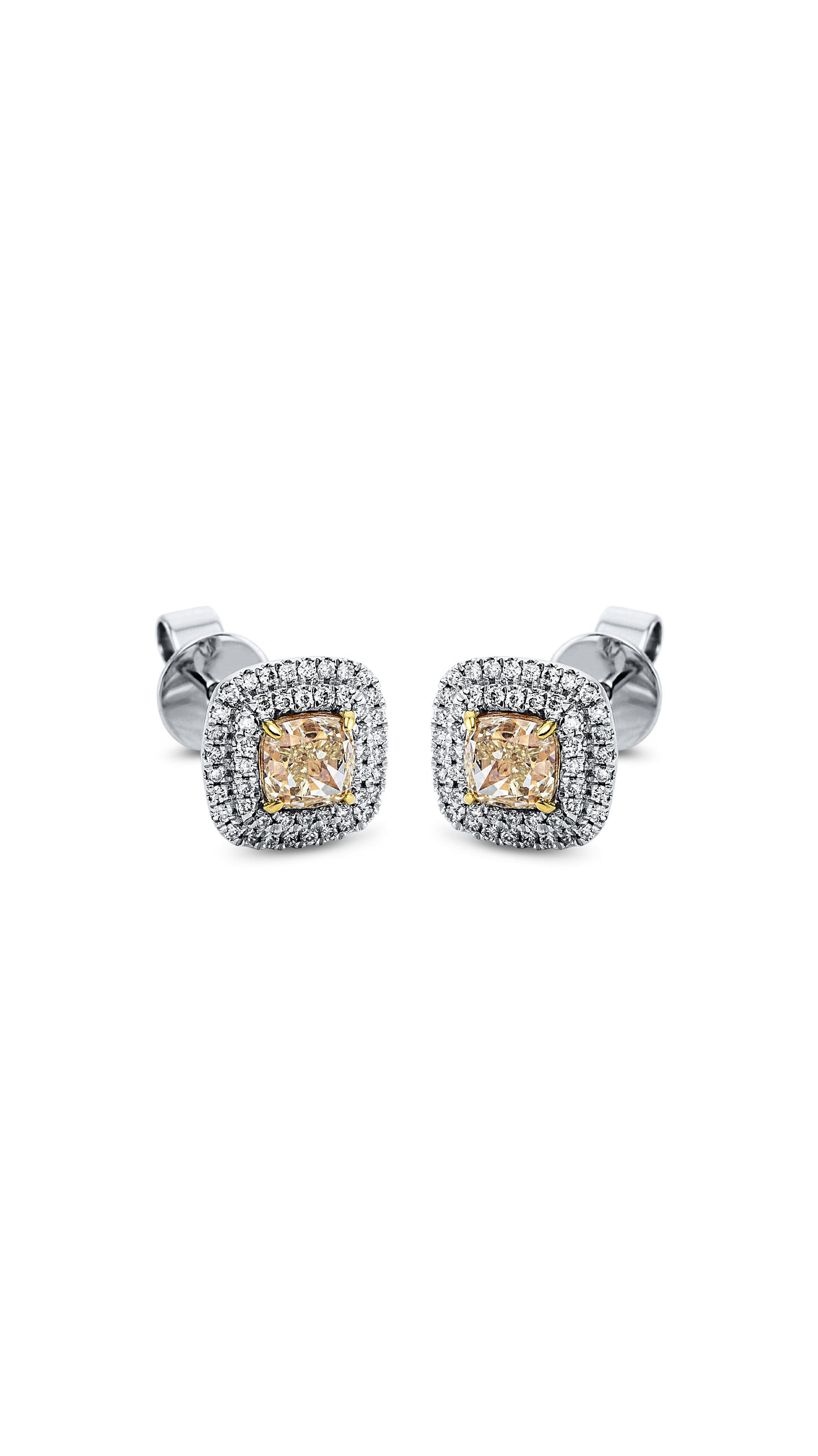 Modern Woman Exclusive Earring 2L332W8-1