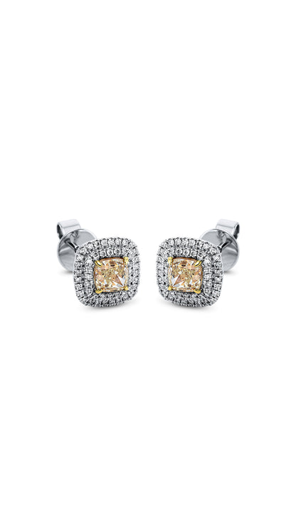 Modern Woman Exclusive Earring 2L332W8-1