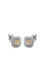Modern Woman Exclusive Earring 2L332W8-1