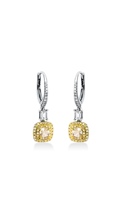 Modern Woman Exclusive Earring 2L575Wg8-1