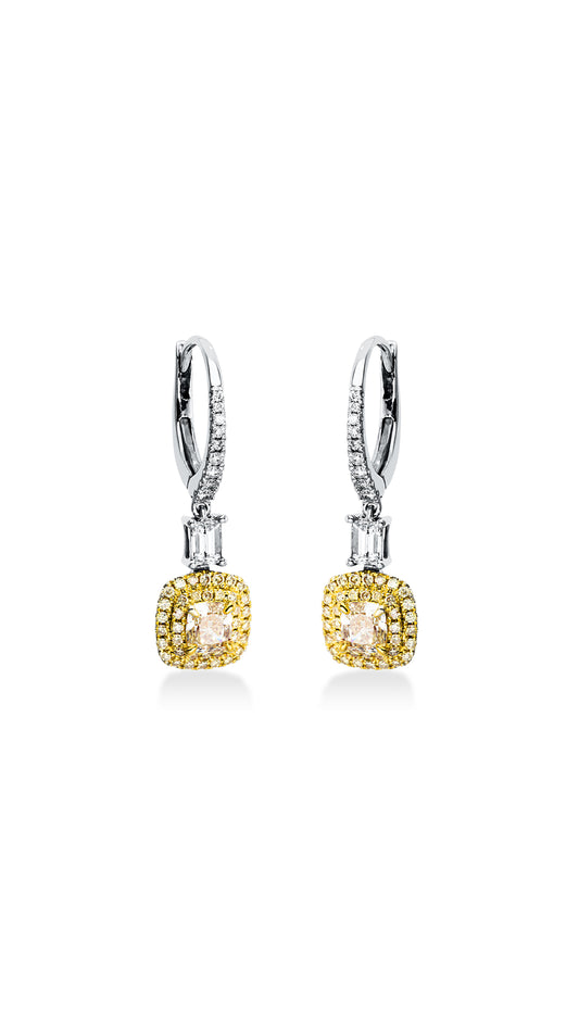 Modern Woman Exclusive Earring 2L575Wg8-1