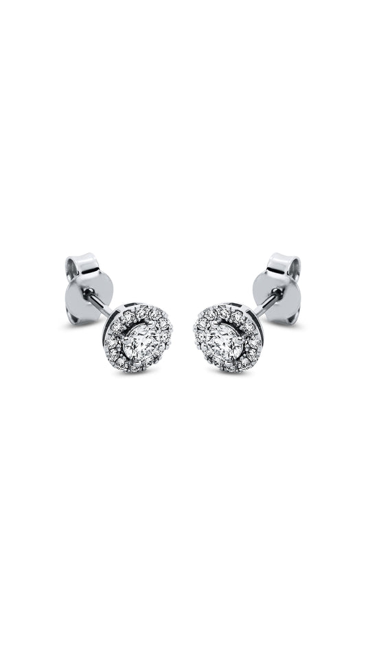 Modern Woman Exclusive Earring 2L761W8-1