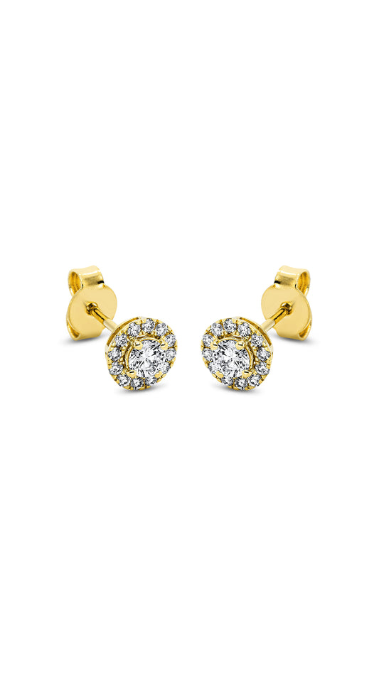 Modern Woman Exclusive Earring 2L762G8-1