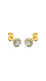 Modern Woman Exclusive Earring 2L762G8-1