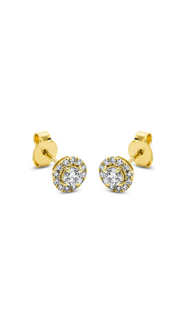 Modern Woman Exclusive Earring 2L762G8-1