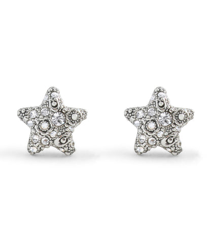 37546486RHO-Signature C Pavé Star Stud Boxed Earrings-Crystal