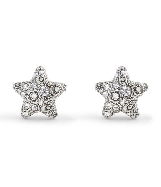 37546486RHO-Signature C Pavé Star Stud Boxed Earrings-Crystal