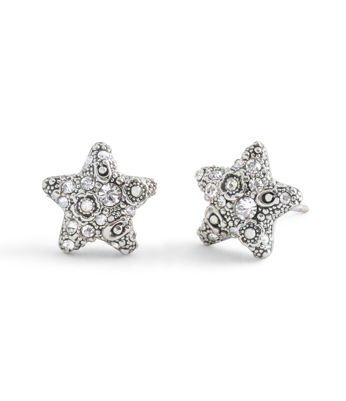 37546486RHO-Signature C Pavé Star Stud Boxed Earrings-Crystal