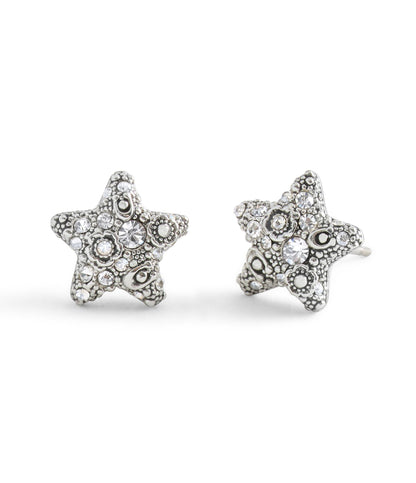 37546486RHO-Signature C Pavé Star Stud Boxed Earrings-Crystal