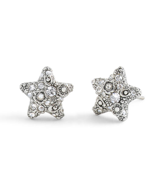 37546486RHO-Signature C Pavé Star Stud Boxed Earrings-Crystal
