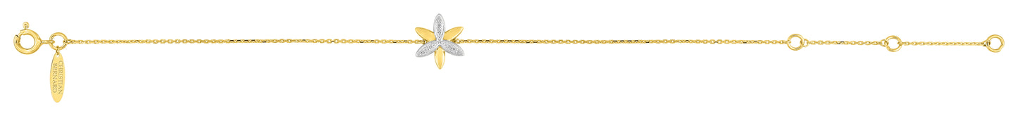 Christian Bernard-9007347-744678166377