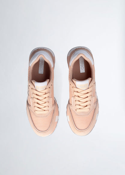 BA4005PX303S150638.5-papaya